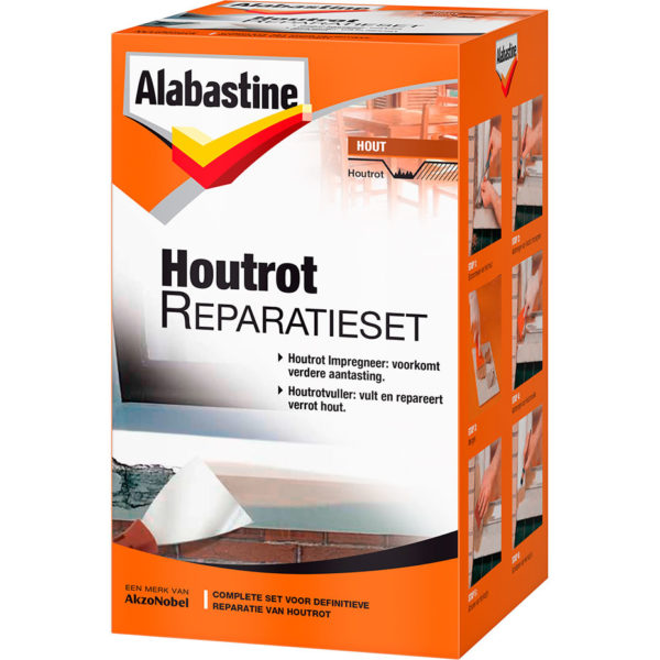 Alabastine Houtrotvuller Reparatieset 500GR